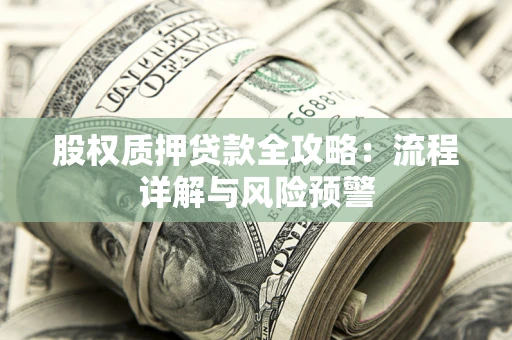 武汉股权质押贷款全攻略：流程详解与风险预警
