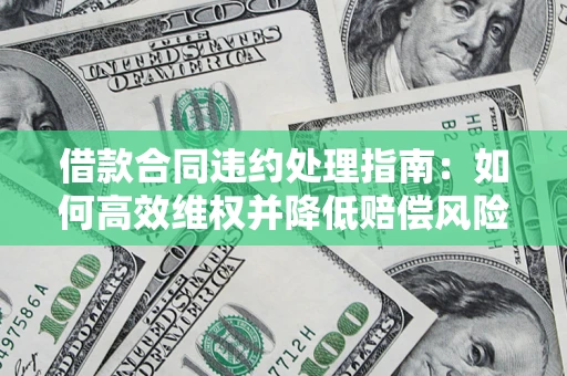 武汉借款合同违约处理指南：如何高效维权并降低赔偿风险？