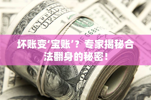 武汉坏账变‘宝账’？专家揭秘合法翻身的秘密！