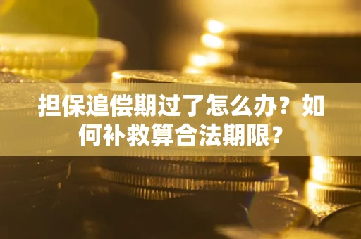 武汉担保追偿期过了怎么办？如何补救算合法期限？