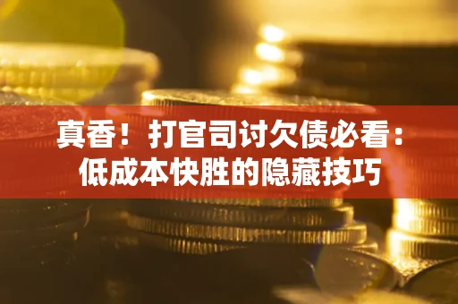 武汉真香！打官司讨欠债必看：低成本快胜的隐藏技巧