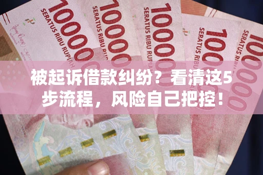 武汉被起诉借款纠纷？看清这5步流程，风险自己把控！