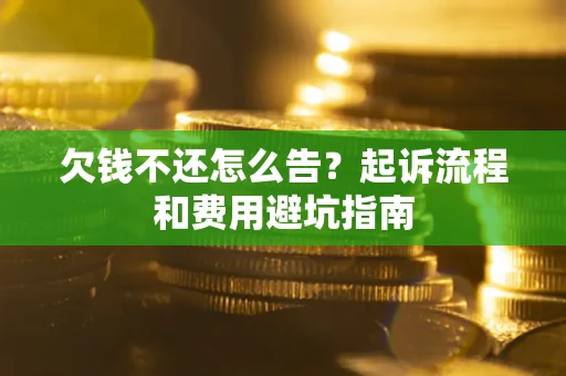 武汉欠钱不还怎么告?起诉流程和费用避坑指南 武汉欠钱不还怎么告?起诉流程和费用避坑指南
