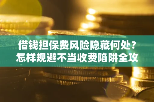武汉借钱担保费风险隐藏何处？怎样规避不当收费陷阱全攻略！